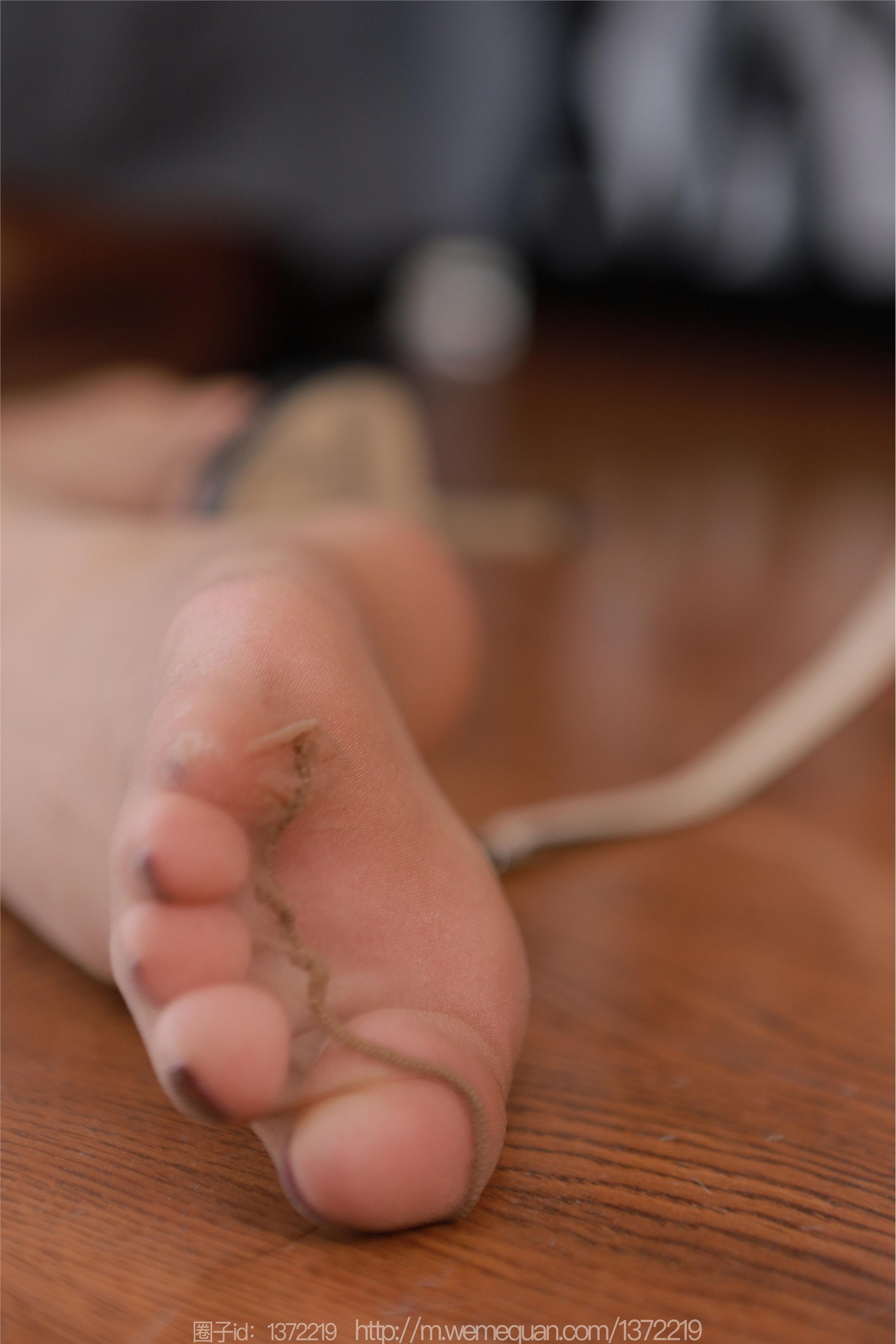 IESS异思趣向  2023.09.15 丝享家 1534 兔兔《贪玩小兔兔》